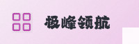 合作伙伴